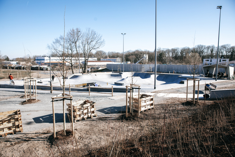 Skatepark Landesgartenschau Torgau 2022
